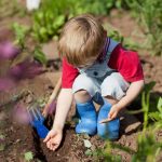 Childcare planting seedlings
